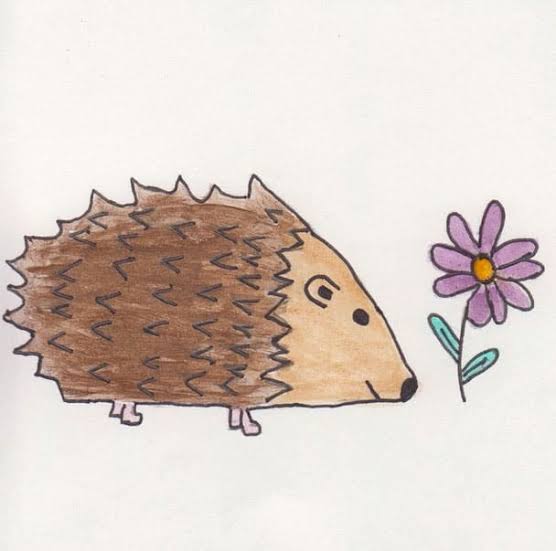 A child's drawing of a hedgehog, taped up like on a fridge